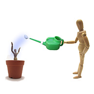 従業員教育をしたい