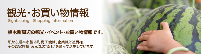 観光・お買い物情報